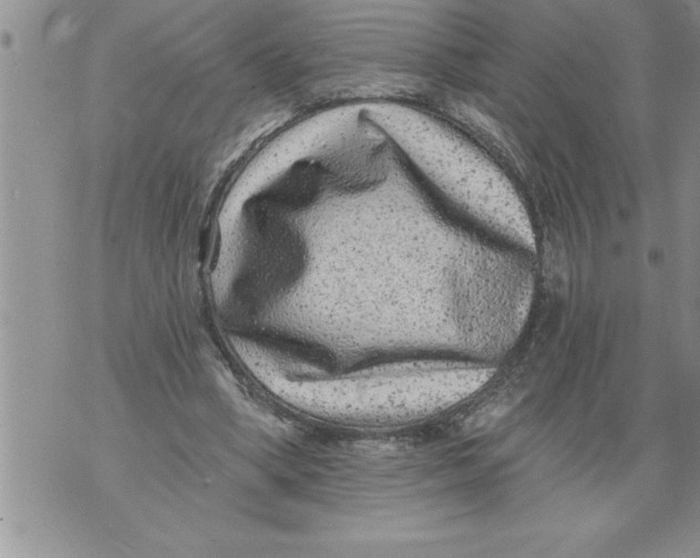 X0000076100394200610152349