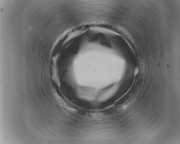 X0000076100395200610152349