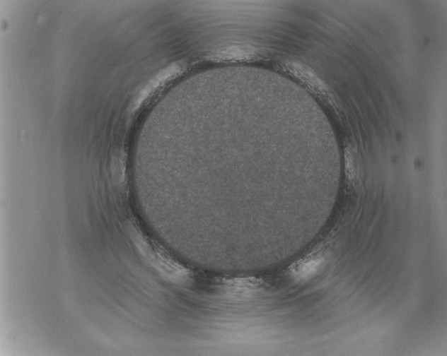 X0000076100396200610152348