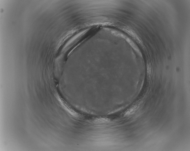 X0000076100397200610152348