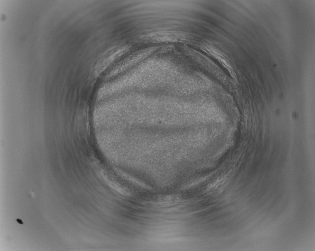 X0000076100398200610152348