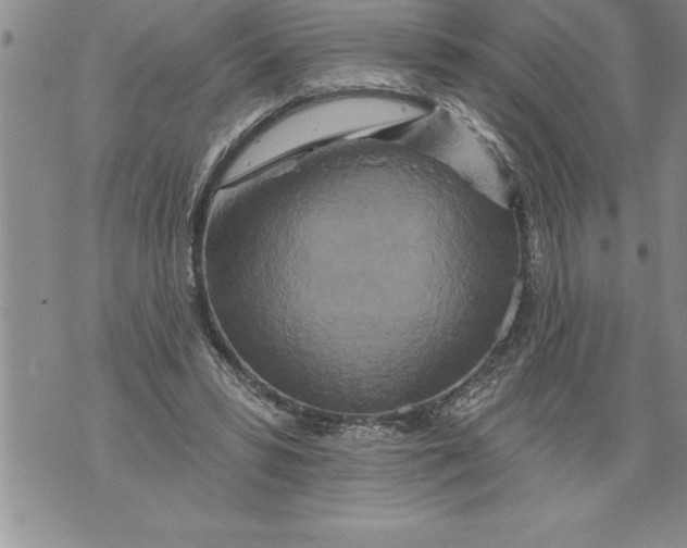 X0000076100399200610152348