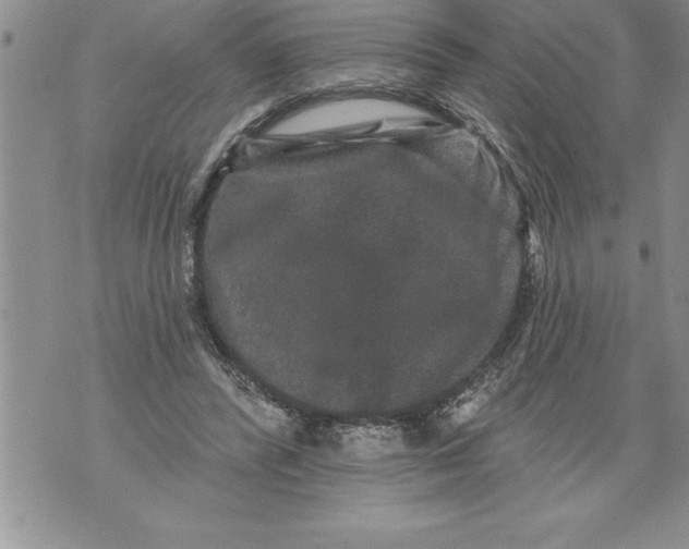 X0000076100400200610152348