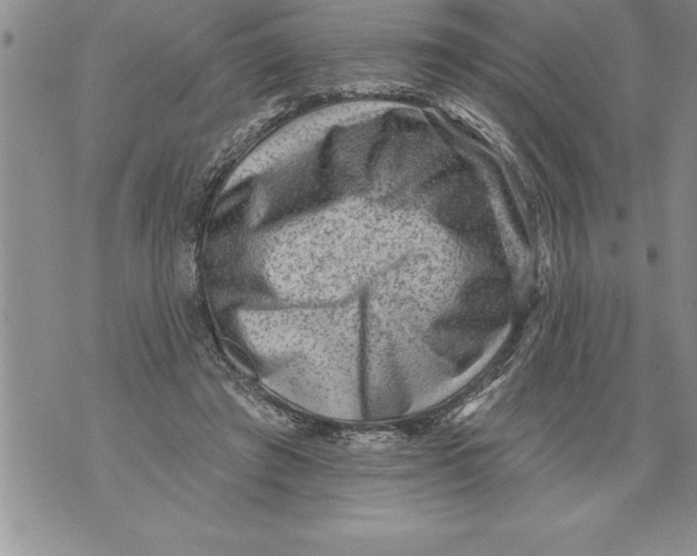 X0000076100401200610152348