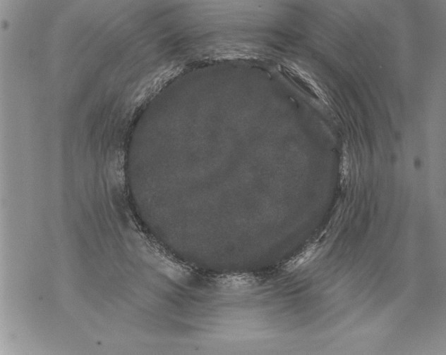 X0000076100402200610152348