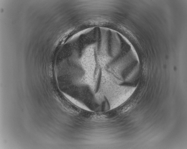 X0000076100403200610152348