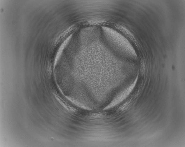 X0000076100405200610152348