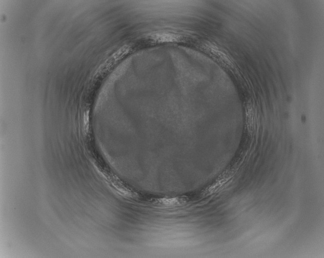 X0000076100406200610152348