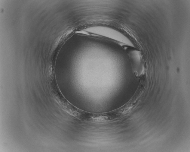 X0000076100407200610152348