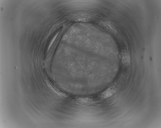 X0000076100408200610152348