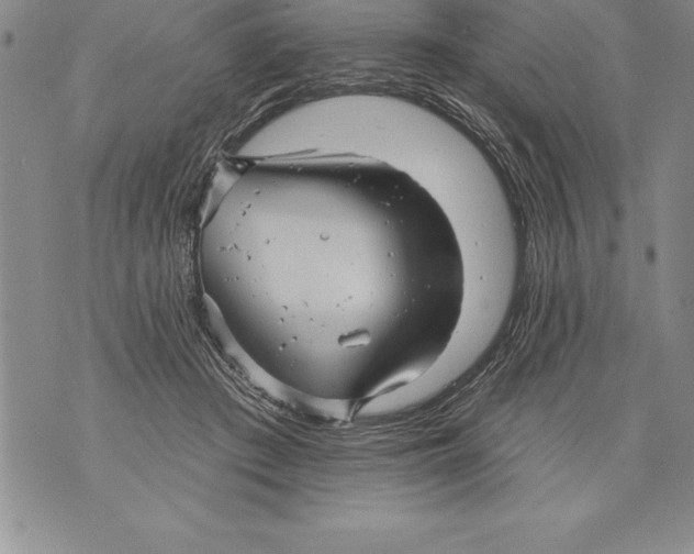 X0000076100409200610152348