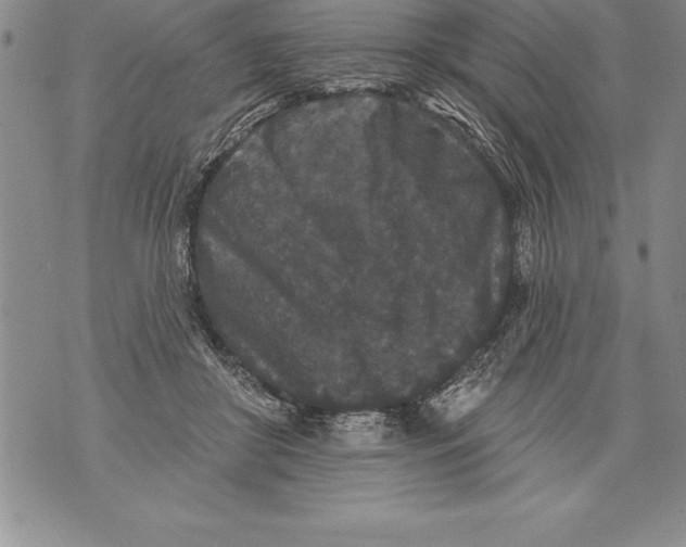 X0000076100410200610152348