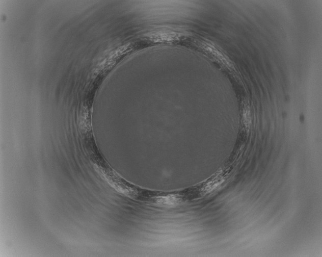 X0000076100411200610152348