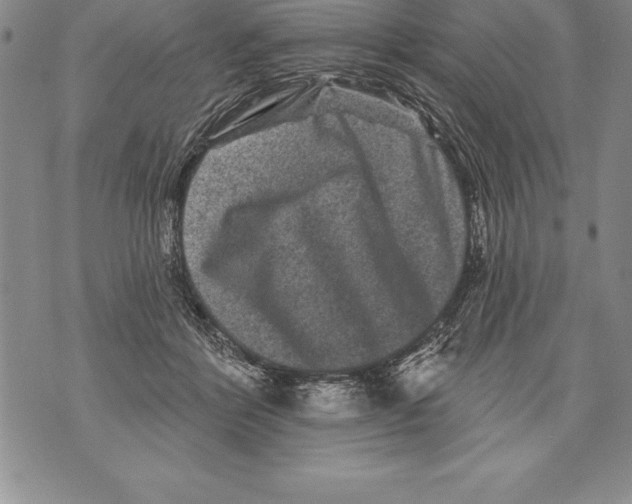 X0000076100412200610152348