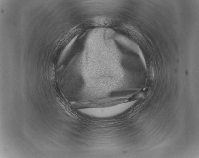 X0000076100413200610152348