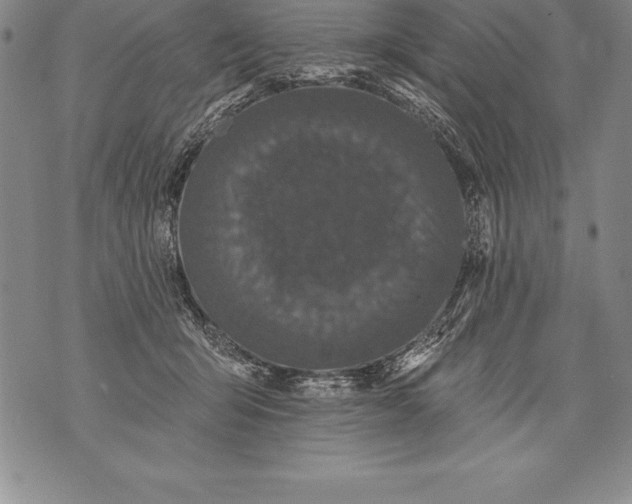 X0000076100415200610152348