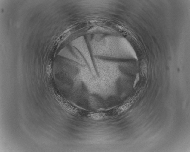 X0000076100417200610152348