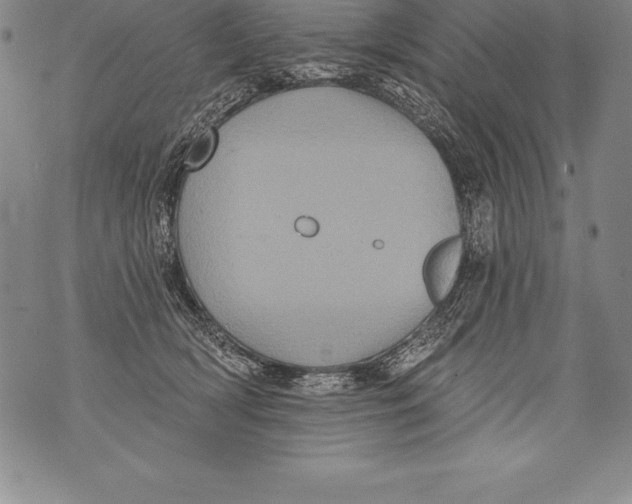 X0000076100418200610152348