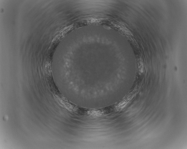 X0000076100419200610152348