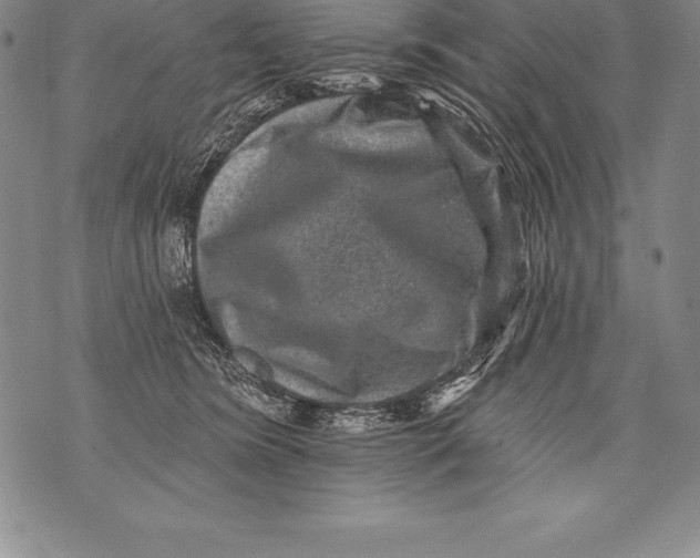 X0000076100420200610152348