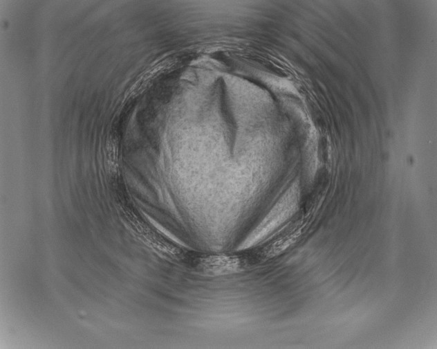 X0000076100421200610152348