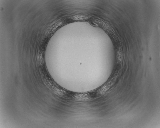 X0000076100422200610152348