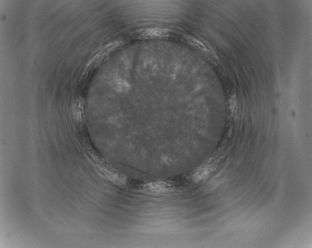 X0000076100423200610152348