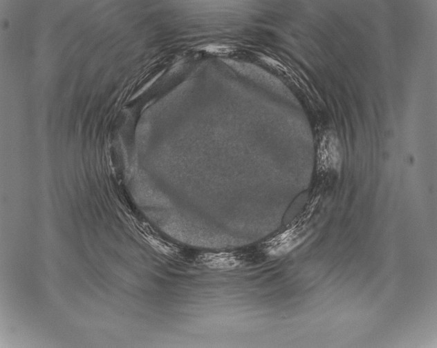 X0000076100424200610152348