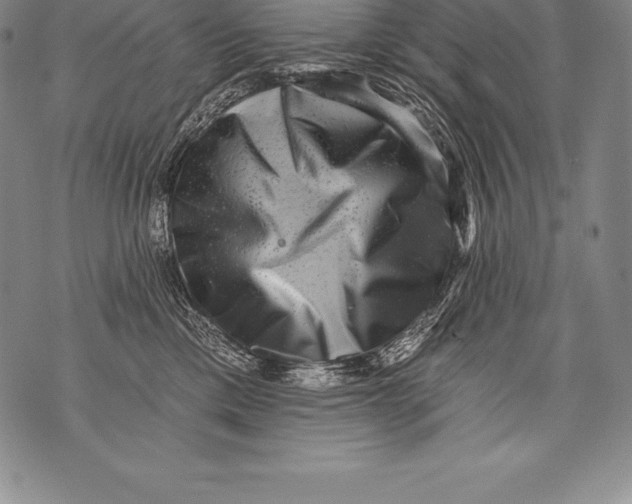 X0000076100425200610152348