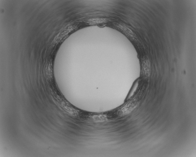 X0000076100426200610152348