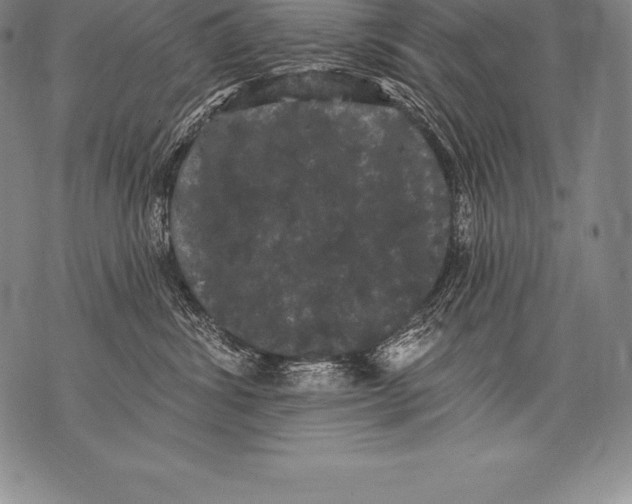 X0000076100428200610152348