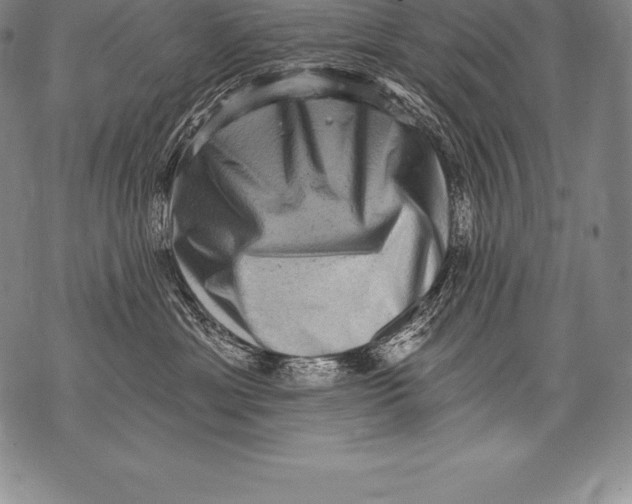 X0000076100429200610152348