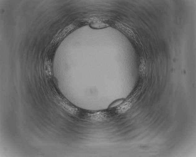 X0000076100430200610152348