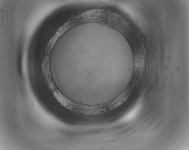 X0000076100431200610152348