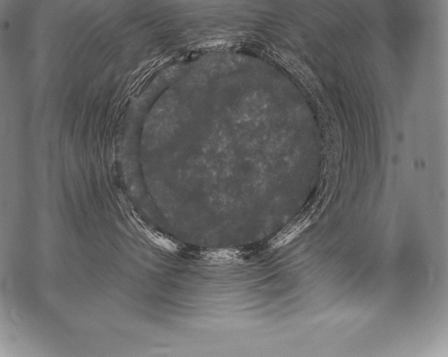 X0000076100432200610152348