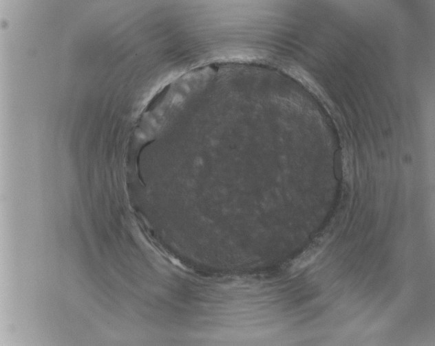 X0000076100434200610152347