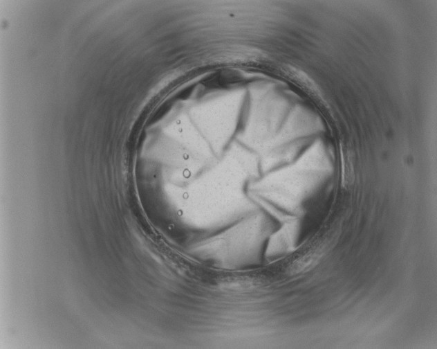 X0000076100435200610152347