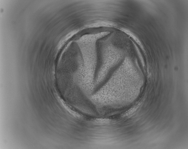 X0000076100437200610152347