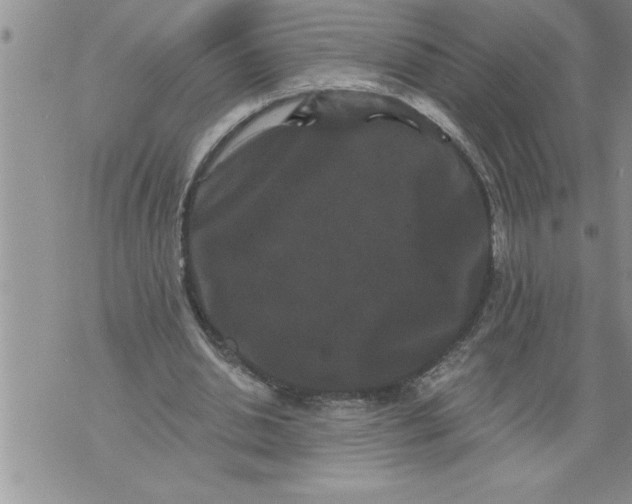 X0000076100438200610152347