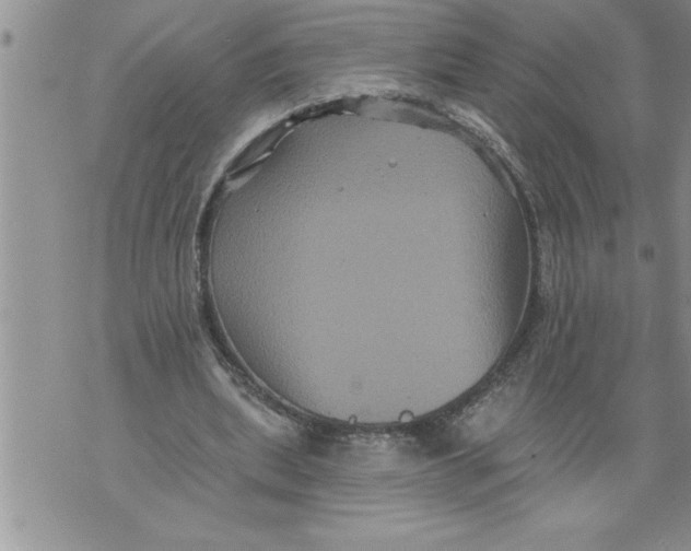 X0000076100439200610152347