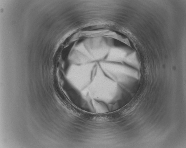 X0000076100440200610152347