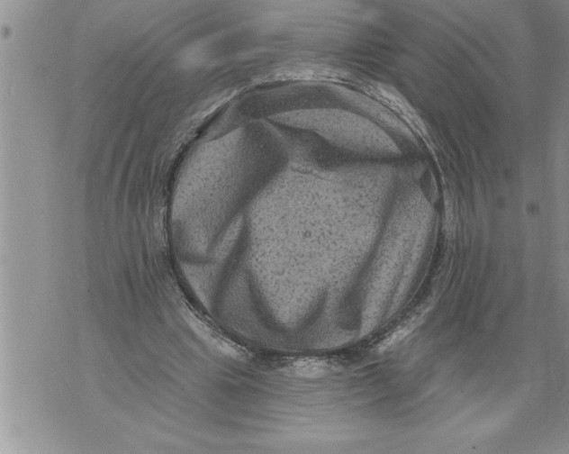 X0000076100441200610152347