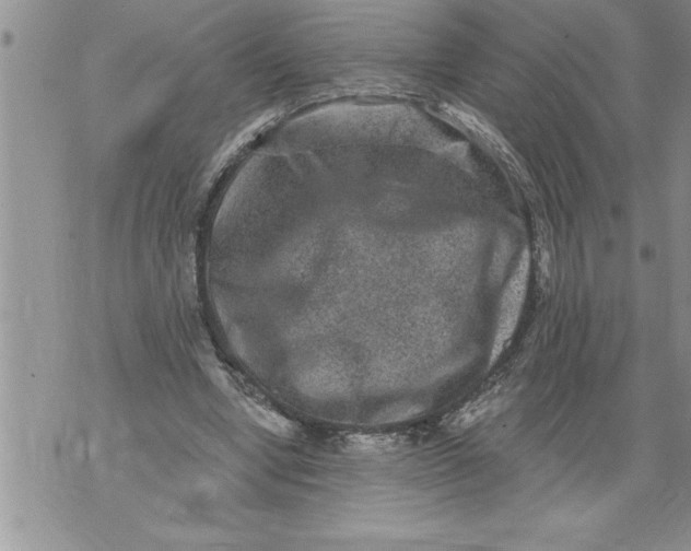 X0000076100442200610152347