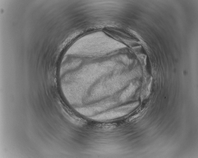 X0000076100443200610152347