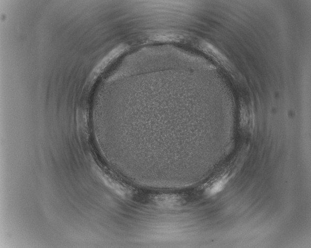 X0000076100444200610152347