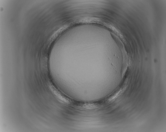 X0000076100445200610152347