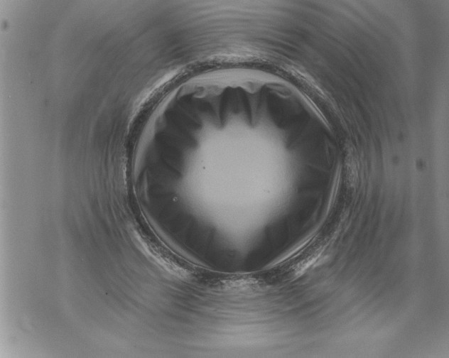 X0000076100446200610152347