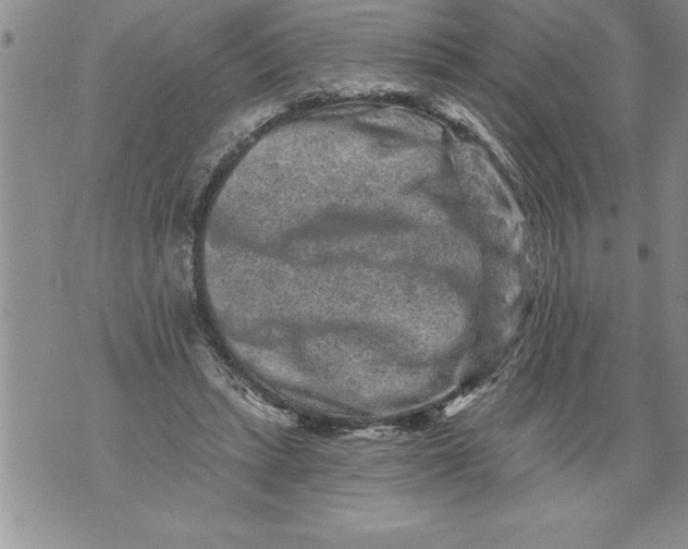 X0000076100447200610152347