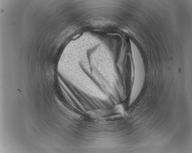 X0000076100448200610152347