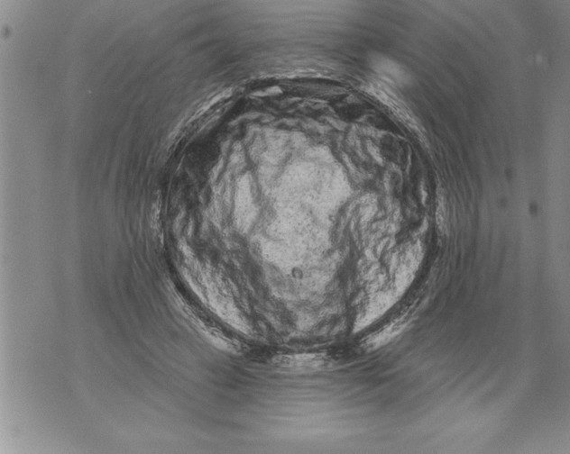 X0000076100449200610152347